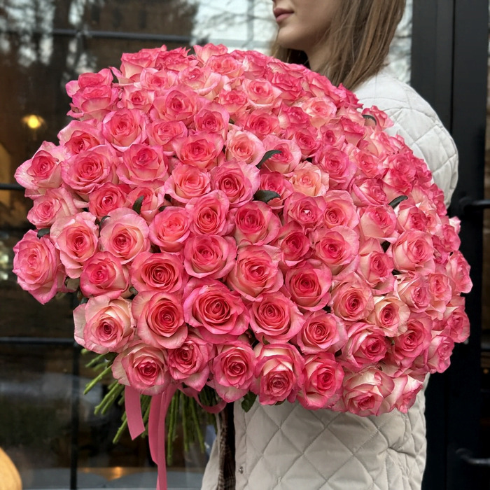 101 джумилия